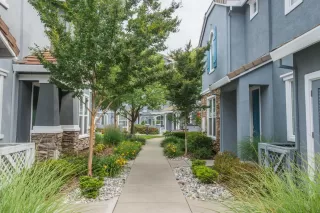 Photo #3: 223046508 Listing