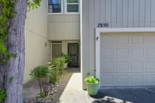 Photo #3: 223047094 Listing