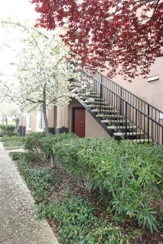 Photo #1: 223048063 Listing
