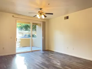 Photo #1: 223048119 Listing 