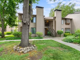 Photo #1: 223048689 Listing 