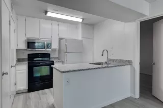 Photo #4: 223048693 Listing 