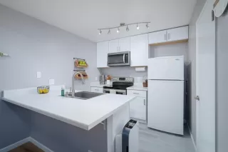 Photo #5: 223049045 Listing 