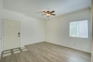 Photo #1: 223049508 Listing 