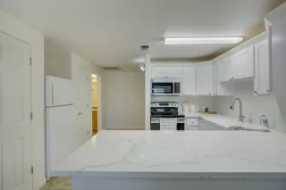 Photo #5: 223049508 Listing 