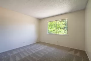 Photo #2: 223049936 Listing