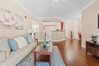 Photo #4: 223051389 Listing 