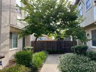 Photo #2: 223051390 Listing