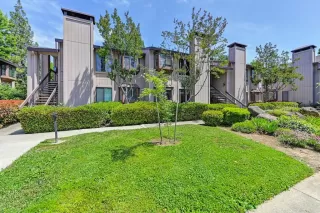 Photo #1: 223051648 Listing 