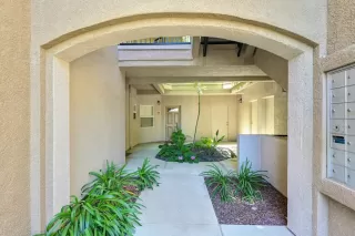 Photo #4: 223052076 Listing 