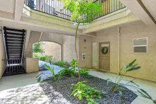 Photo #6: 223052076 Listing 