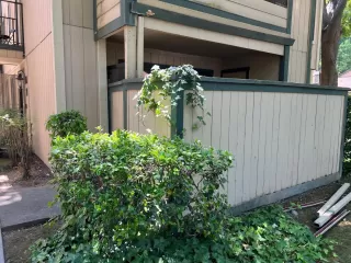 Photo #5: 223052596 Listing