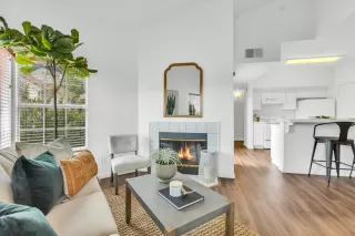 Photo #3: 223053195 Listing