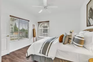 Photo #4: 223053195 Listing