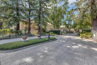 Photo #1: 223053402 Listing