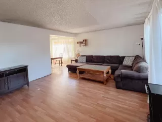 Photo #2: 223053469 Listing 