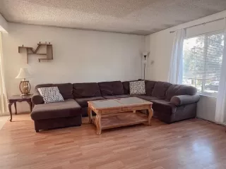 Photo #3: 223053469 Listing 