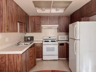 Photo #6: 223053469 Listing 