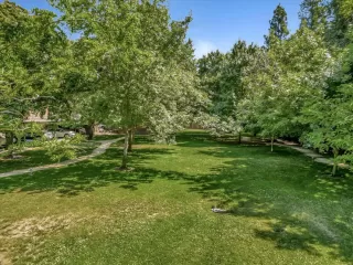 Photo #2: 223053855 Listing