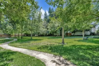 Photo #3: 223053855 Listing