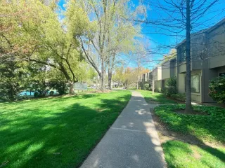 Photo #2: 223053857 Listing