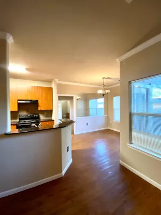 Photo #2: 223054049 Listing