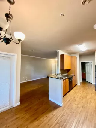 Photo #4: 223054049 Listing