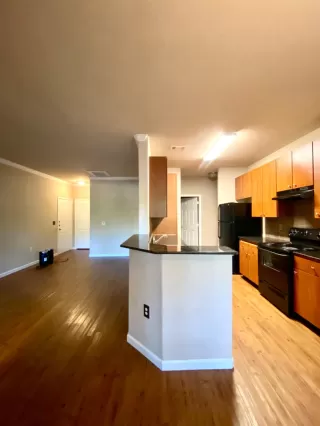 Photo #5: 223054049 Listing