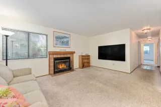 Photo #1: 223054740 Listing