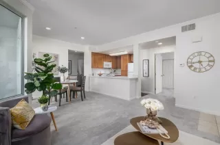 Photo #2: 223055625 Listing