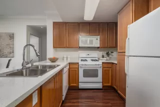 Photo #6: 223055625 Listing