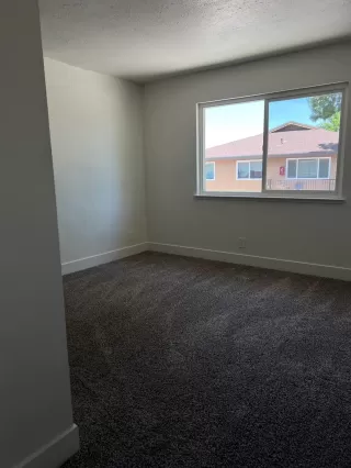 Photo #5: 223057249 Listing