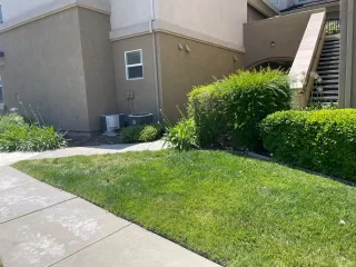 Photo #2: 223057548 Listing