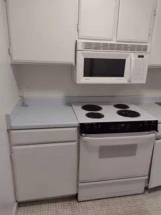 Photo #5: 223058040 Listing