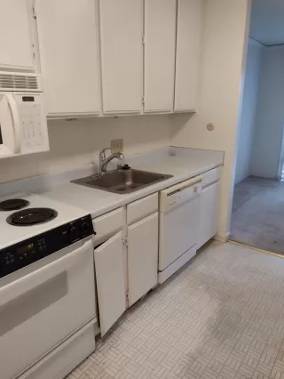 Photo #6: 223058040 Listing