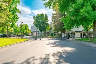 Photo #1: 223058478 Listing