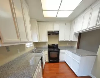 Photo #3: 223058911 Listing