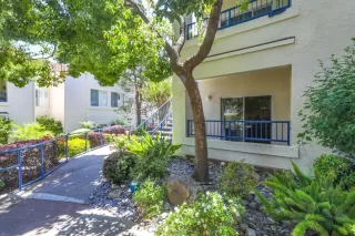 Photo #4: 223059266 Listing