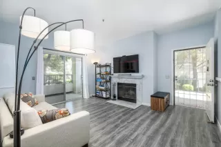 Photo #5: 223059266 Listing