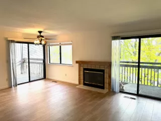 Photo #1: 223059339 Listing 