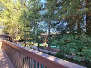 Photo #2: 223061825 Listing