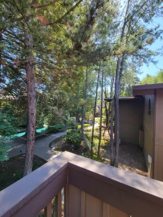 Photo #3: 223061825 Listing