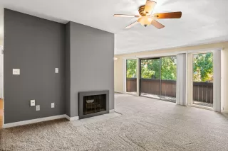 Photo #4: 223062116 Listing