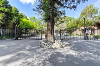 Photo #1: 223062173 Listing