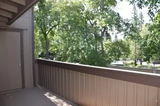 Photo #2: 223062173 Listing