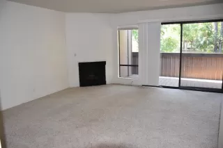 Photo #4: 223062173 Listing