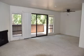 Photo #5: 223062173 Listing