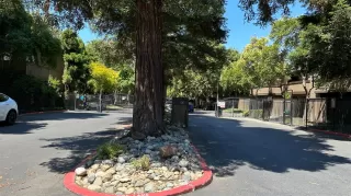 Photo #1: 223062202 Listing