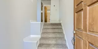 Photo #4: 223062654 Listing