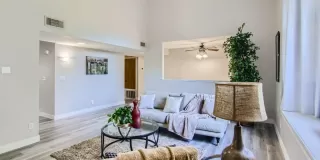 Photo #6: 223062654 Listing